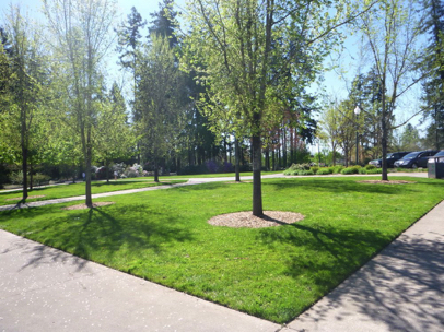 Many paved paths enter the park from the sidewalk along the parking lot